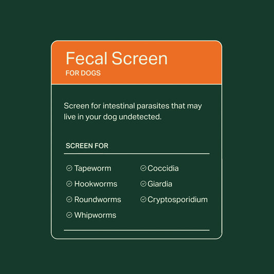 Fecal Screen for Dogs