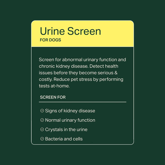 Urine Screen for Dogs