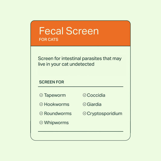 Fecal Screen for Cats