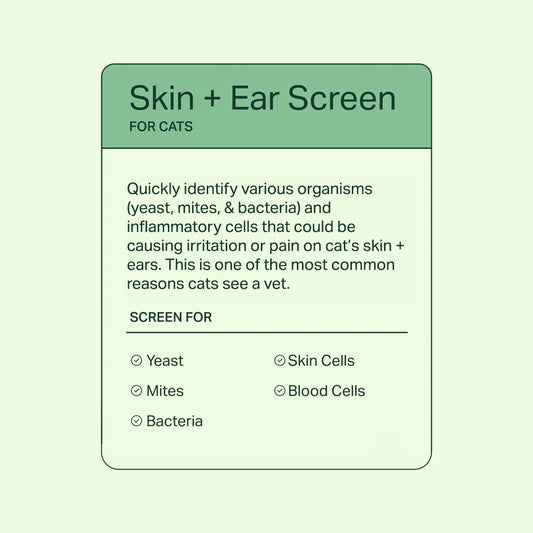 Skin + Ear Screen for Cats