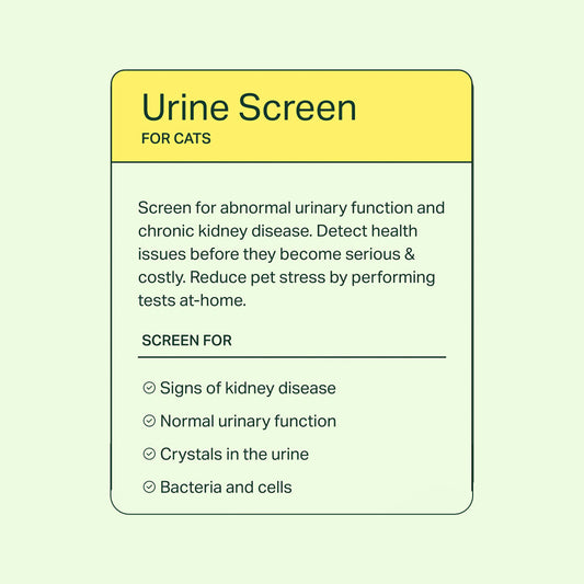 Urine Screen for Cats