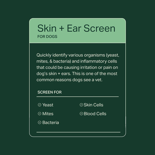 Skin + Ear Screen for Dogs